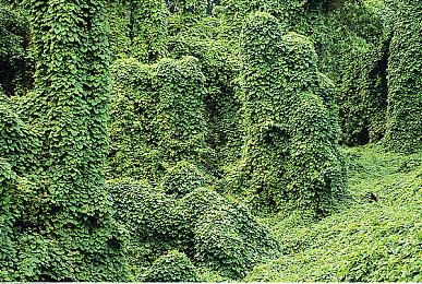 《合金装备》系列25周年 小岛秀夫回忆开发秘闻